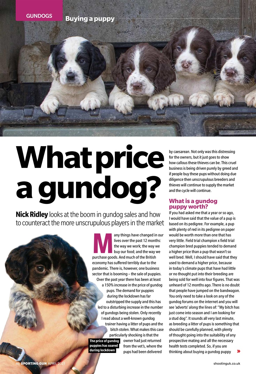 Sporting Gun Preview Pages