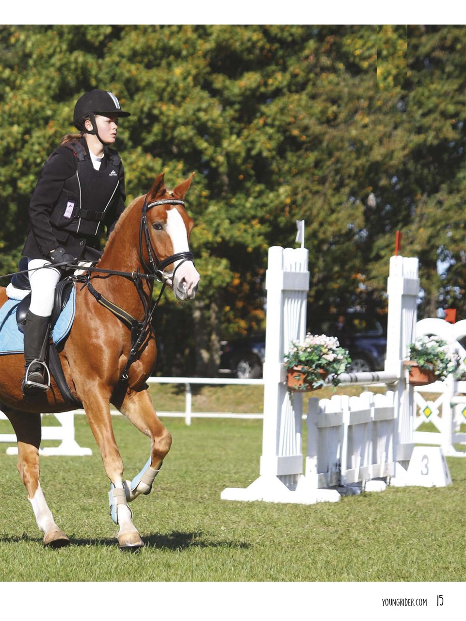 Young Rider Magazine Preview Pages