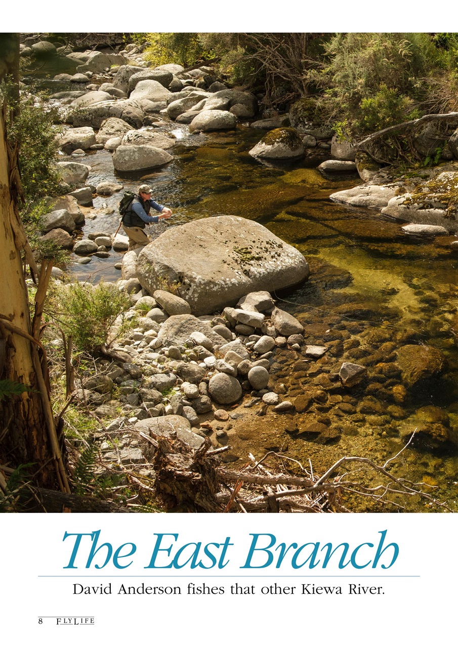 FlyLife Preview Pages