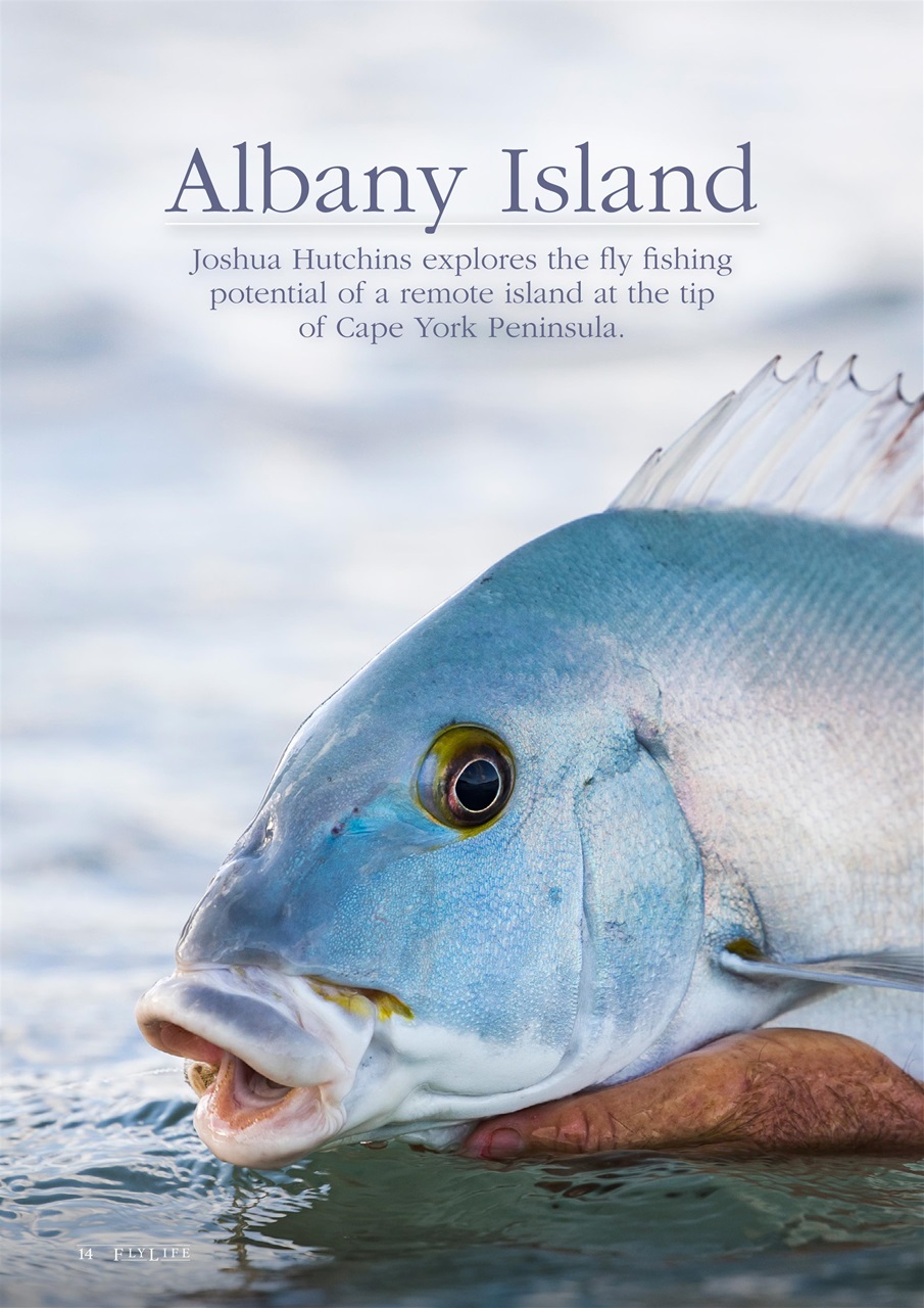 FlyLife Preview Pages