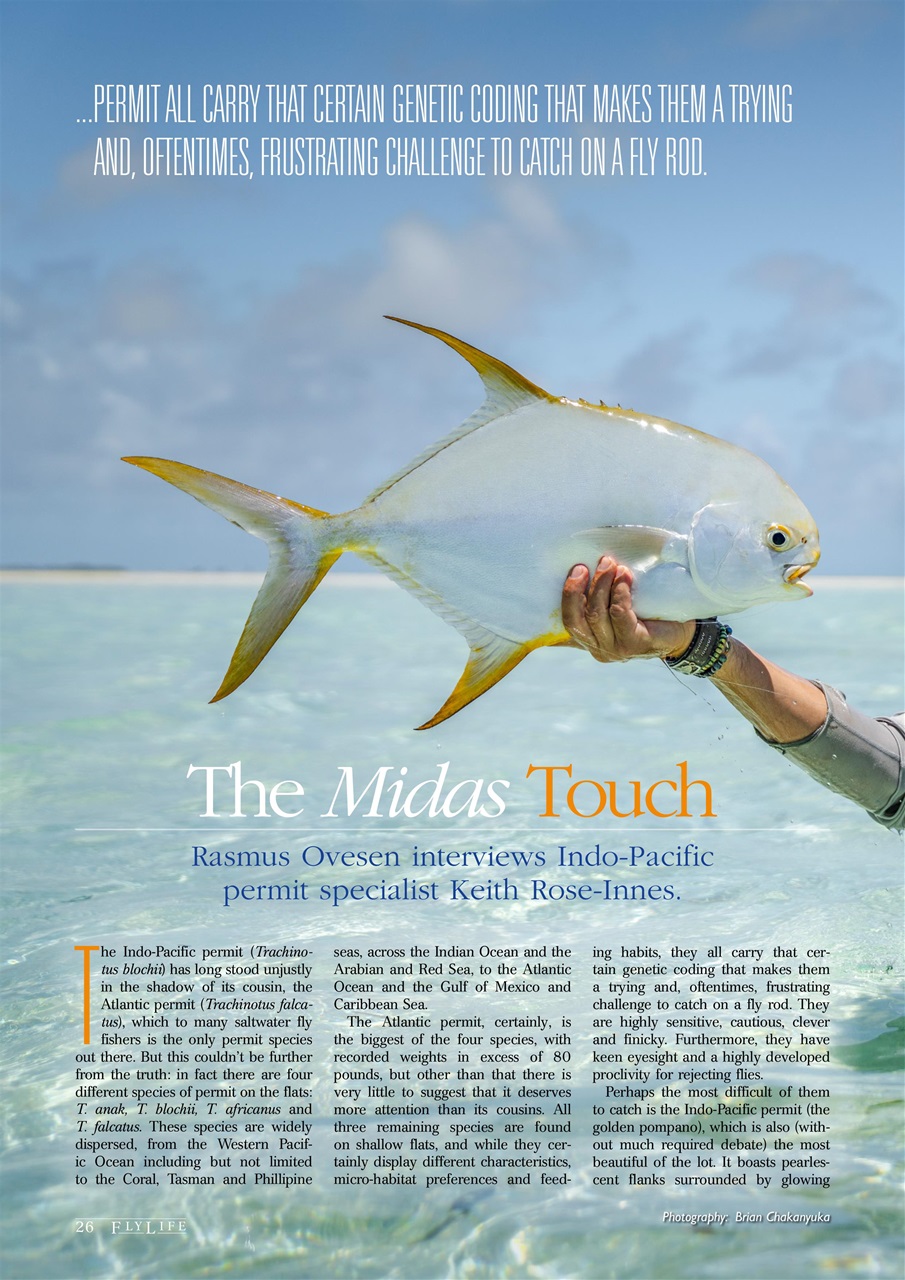 FlyLife Preview Pages