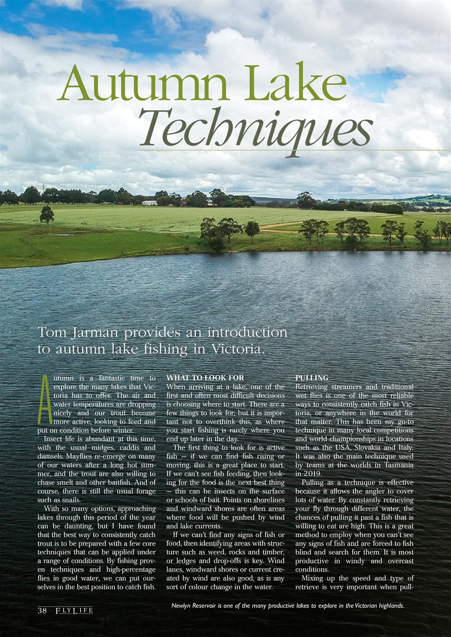 FlyLife Preview Pages