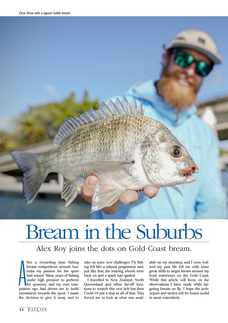 FlyLife Preview Pages