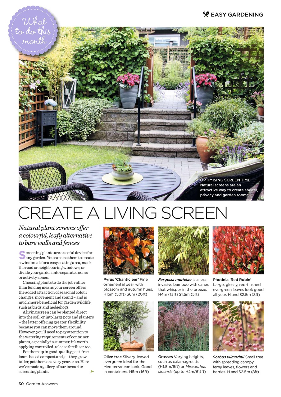 Garden Answers Preview Pages