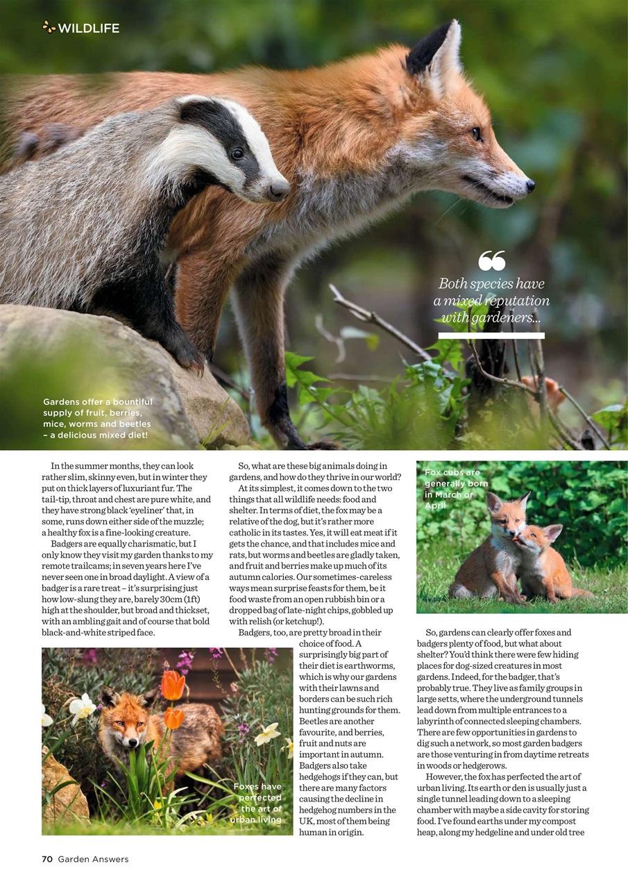 Garden Answers Preview Pages
