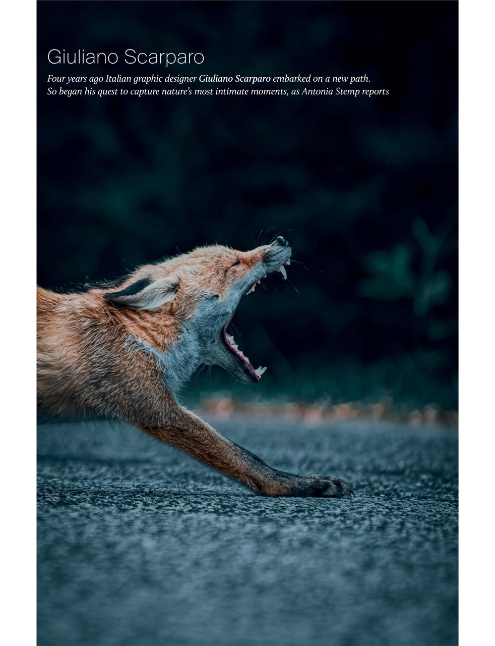 Outdoor Photography Preview Pages