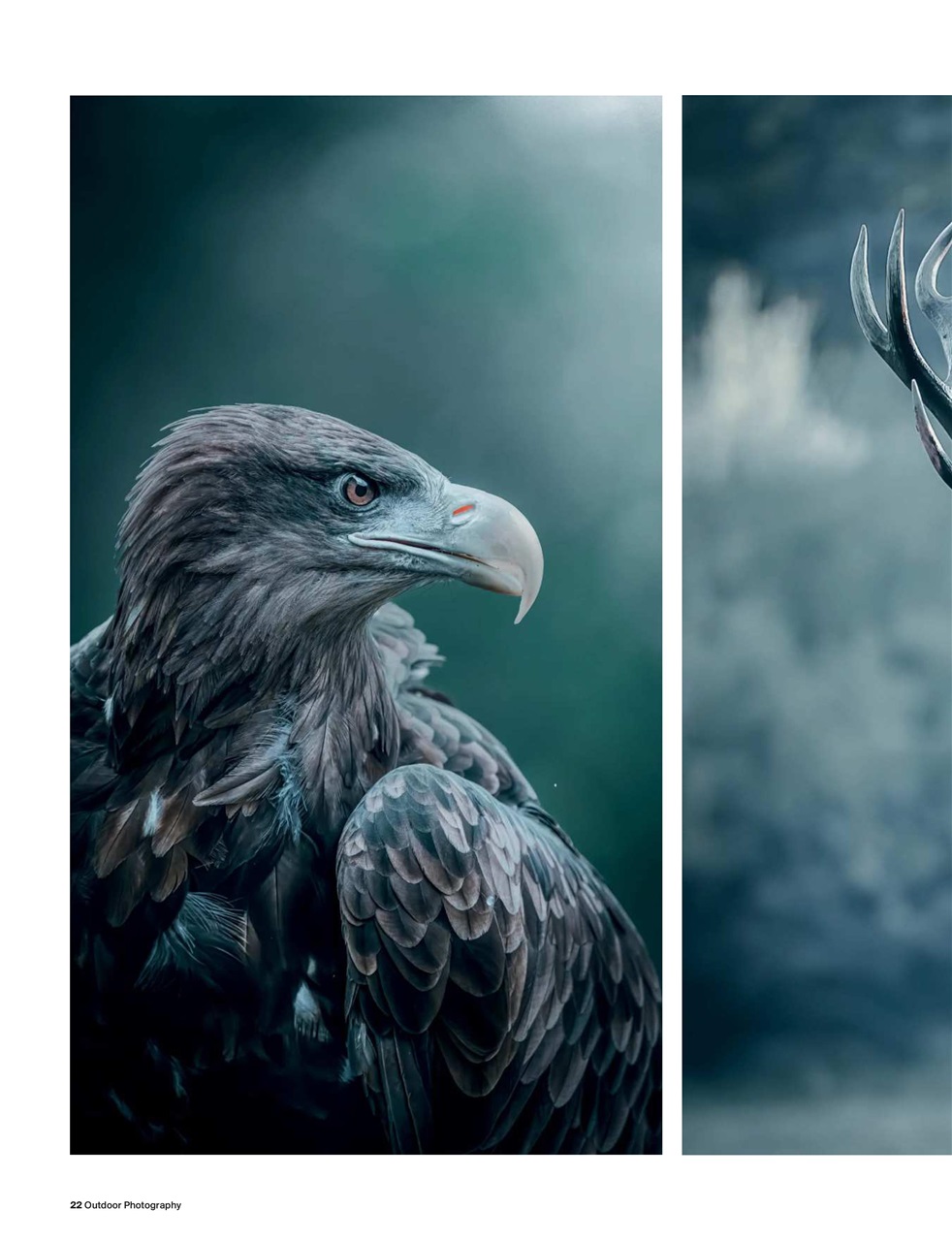 Outdoor Photography Preview Pages