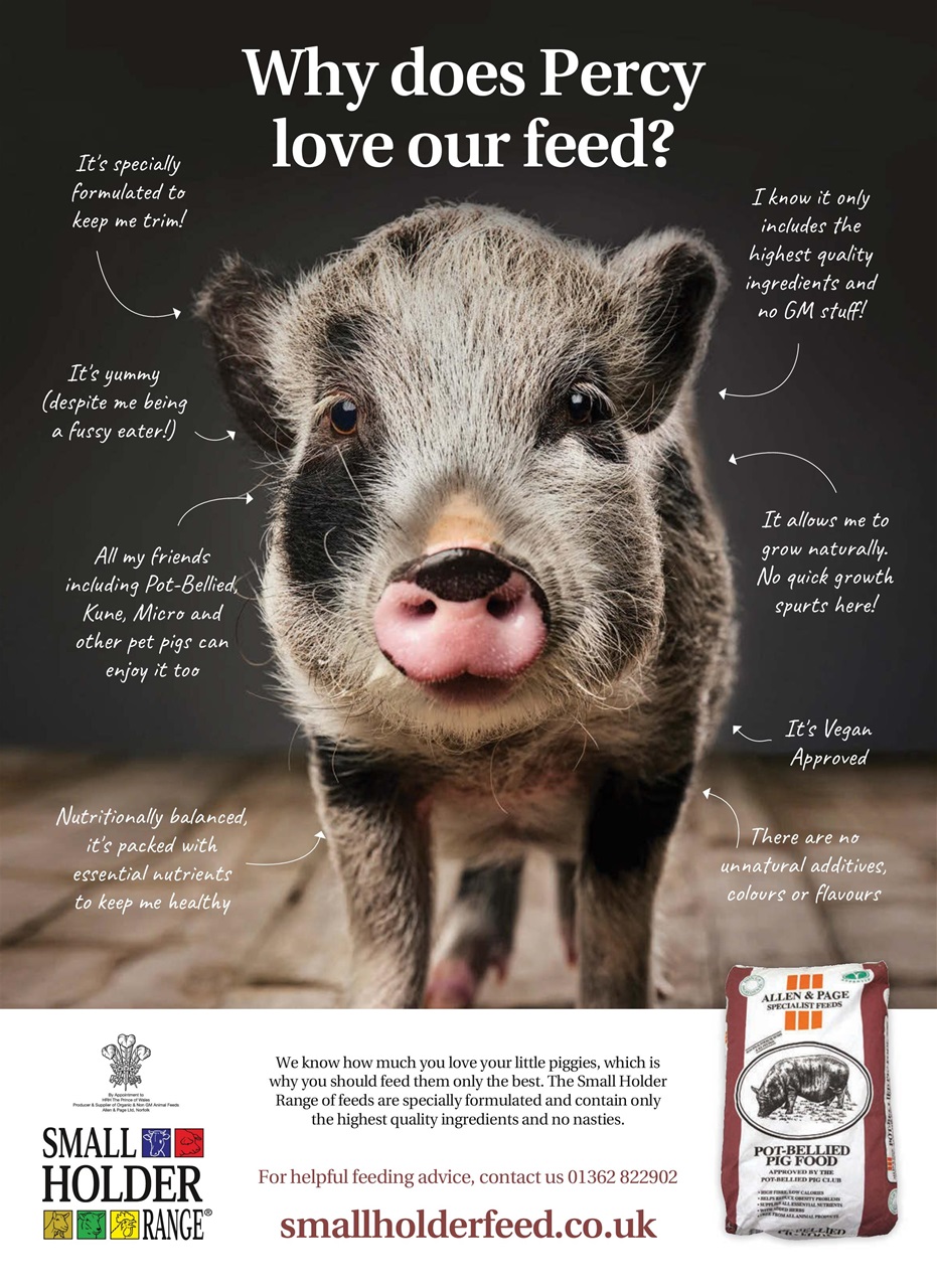 Practical Pigs Preview Pages