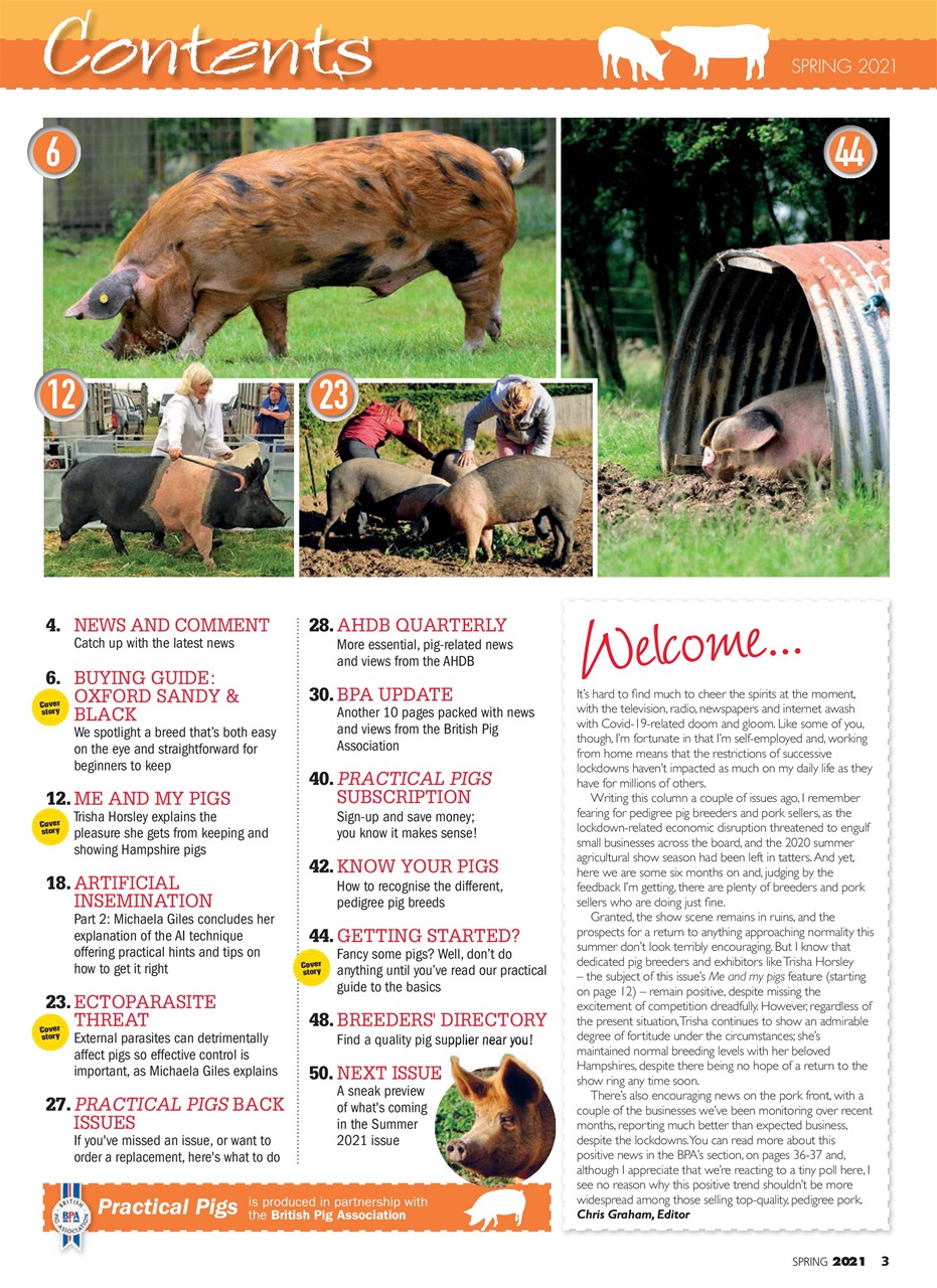 Practical Pigs Preview Pages