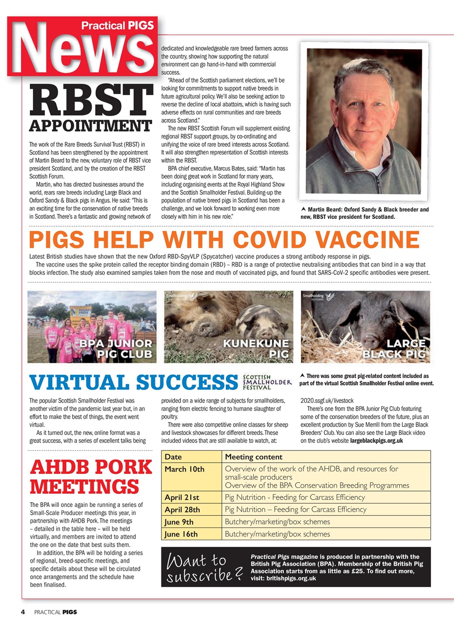 Practical Pigs Preview Pages