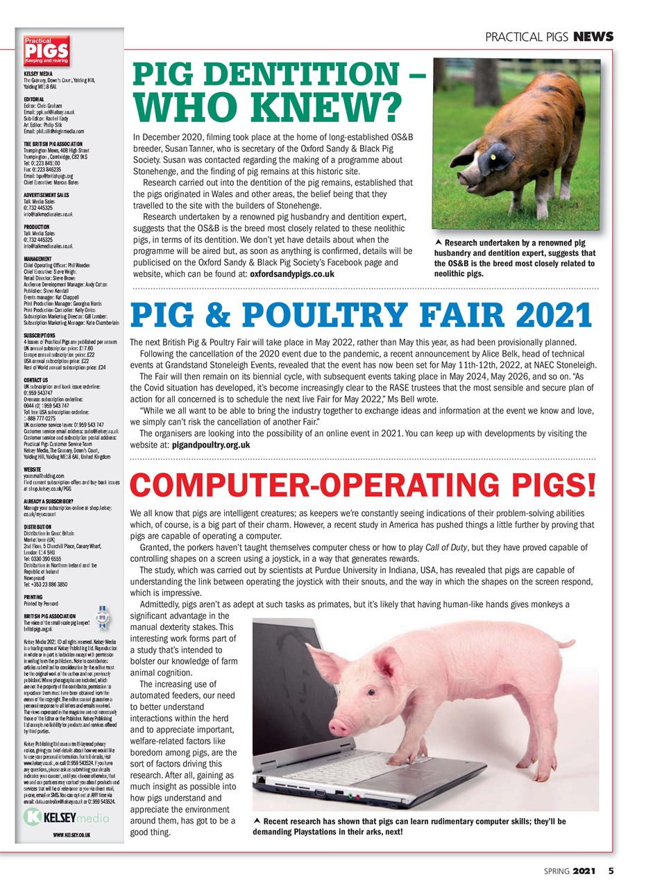 Practical Pigs Preview Pages