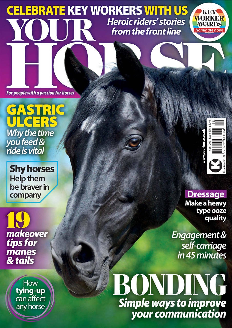 Your Horse Preview Pages