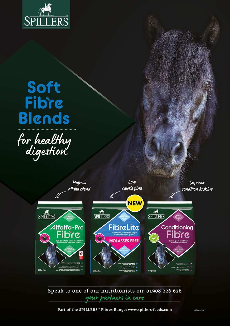 Your Horse Preview Pages