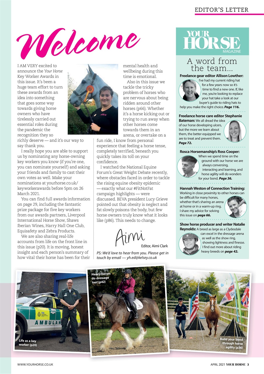 Your Horse Preview Pages