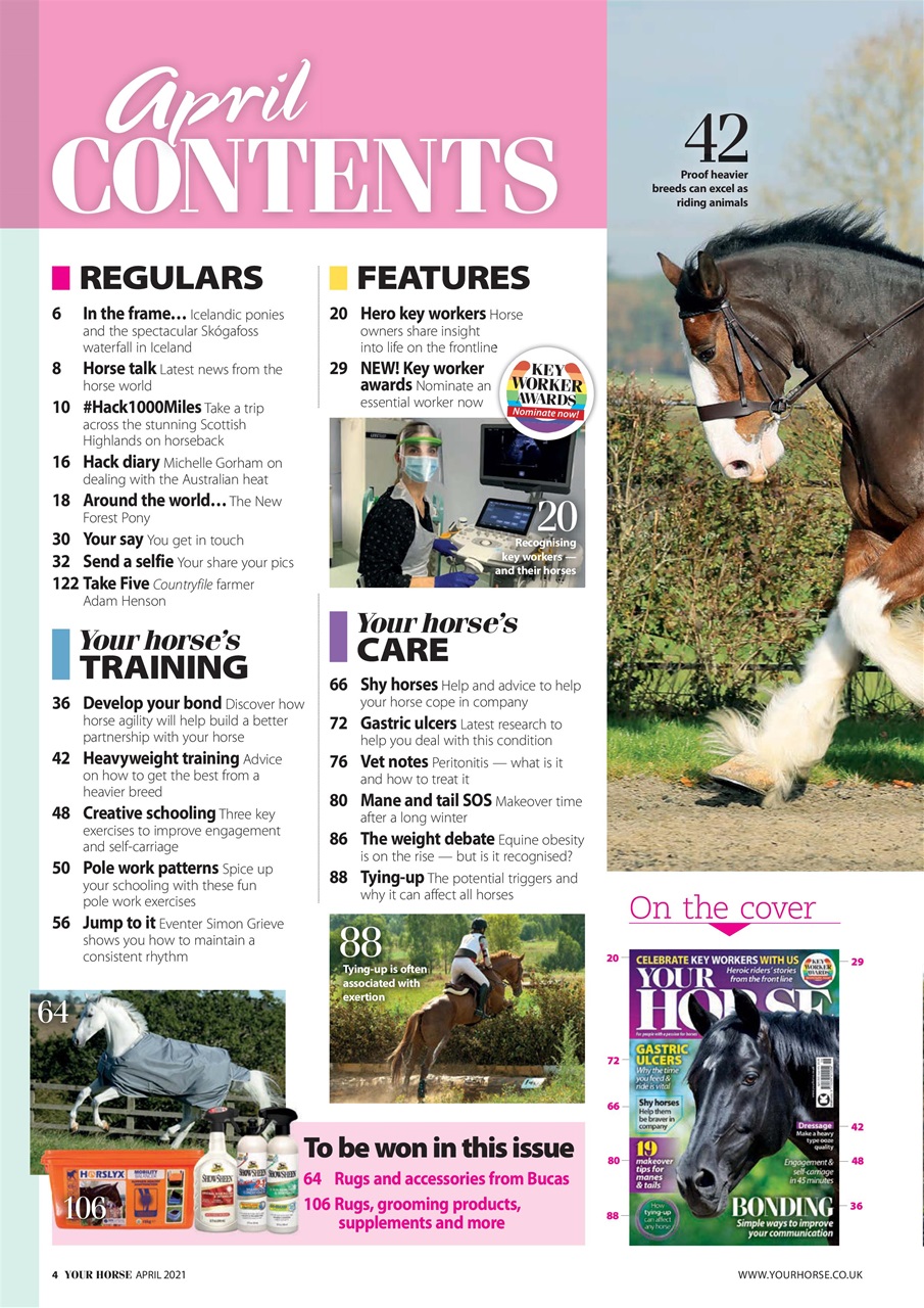 Your Horse Preview Pages