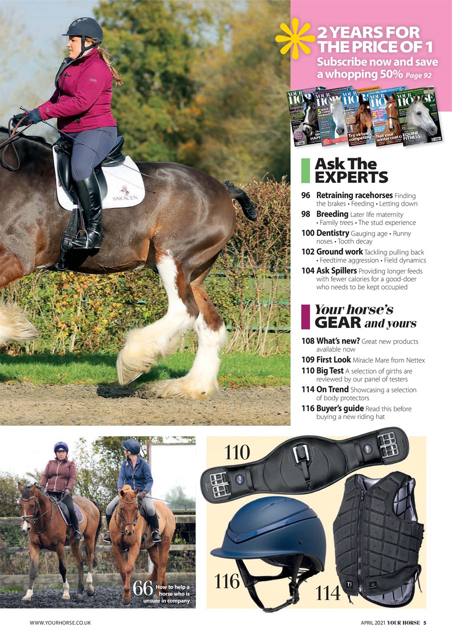 Your Horse Preview Pages