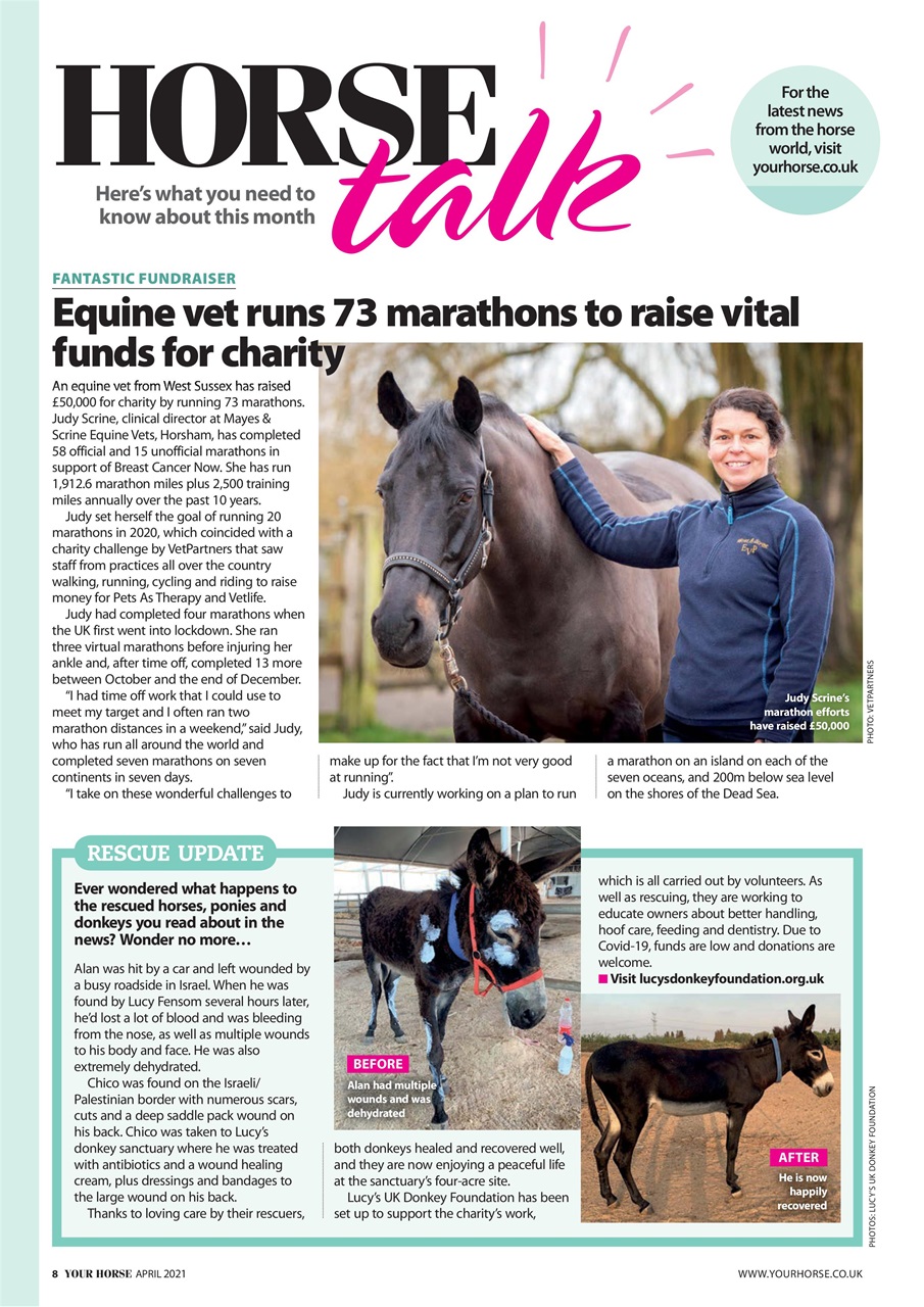 Your Horse Preview Pages