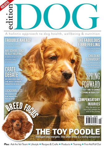 Edition Dog issue Issue 29