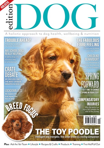 Edition Dog issue 