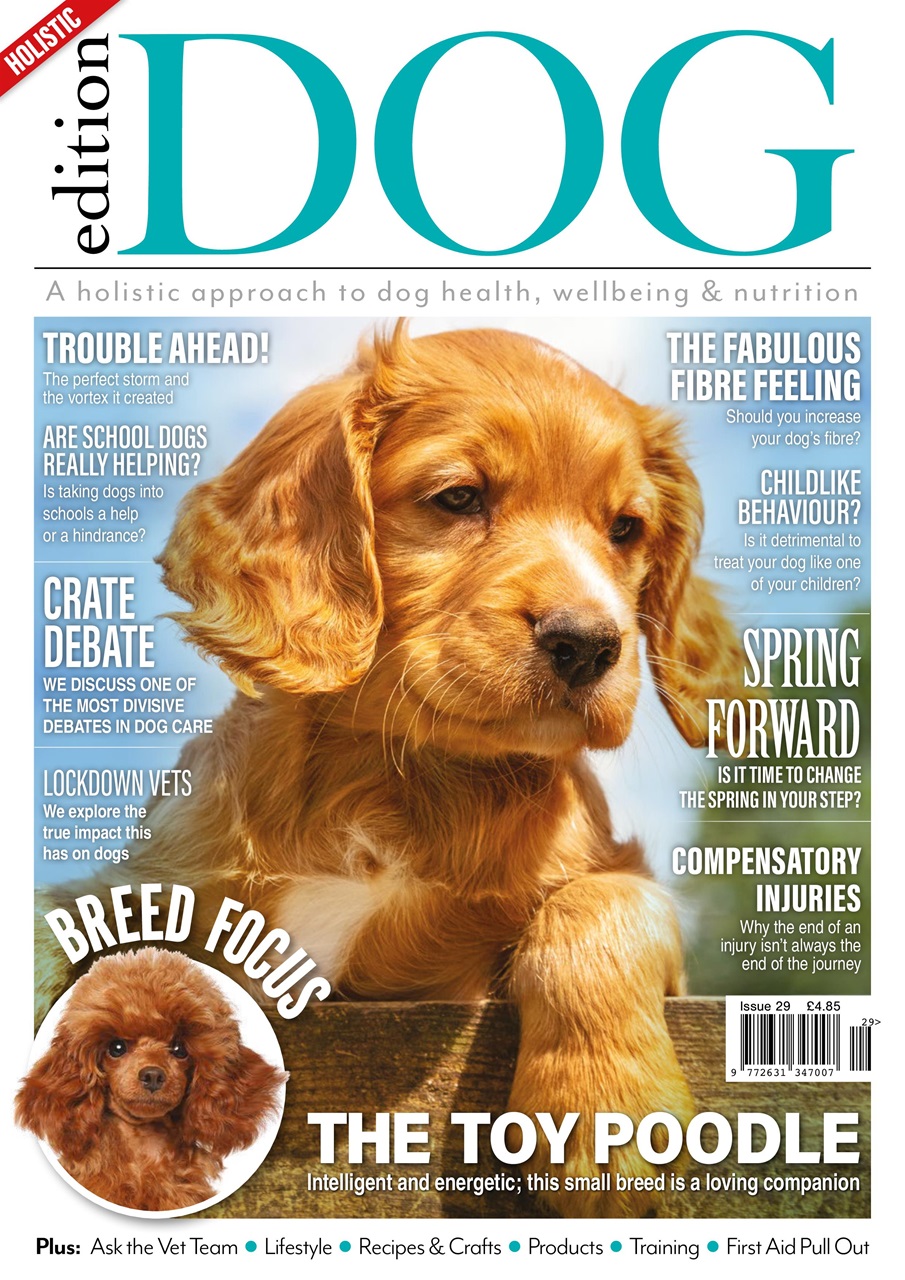Edition Dog Preview Pages