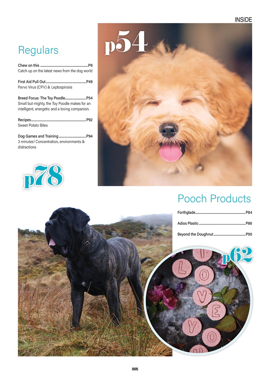 Edition Dog Preview Pages