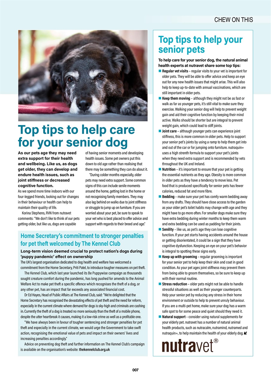 Edition Dog Preview Pages