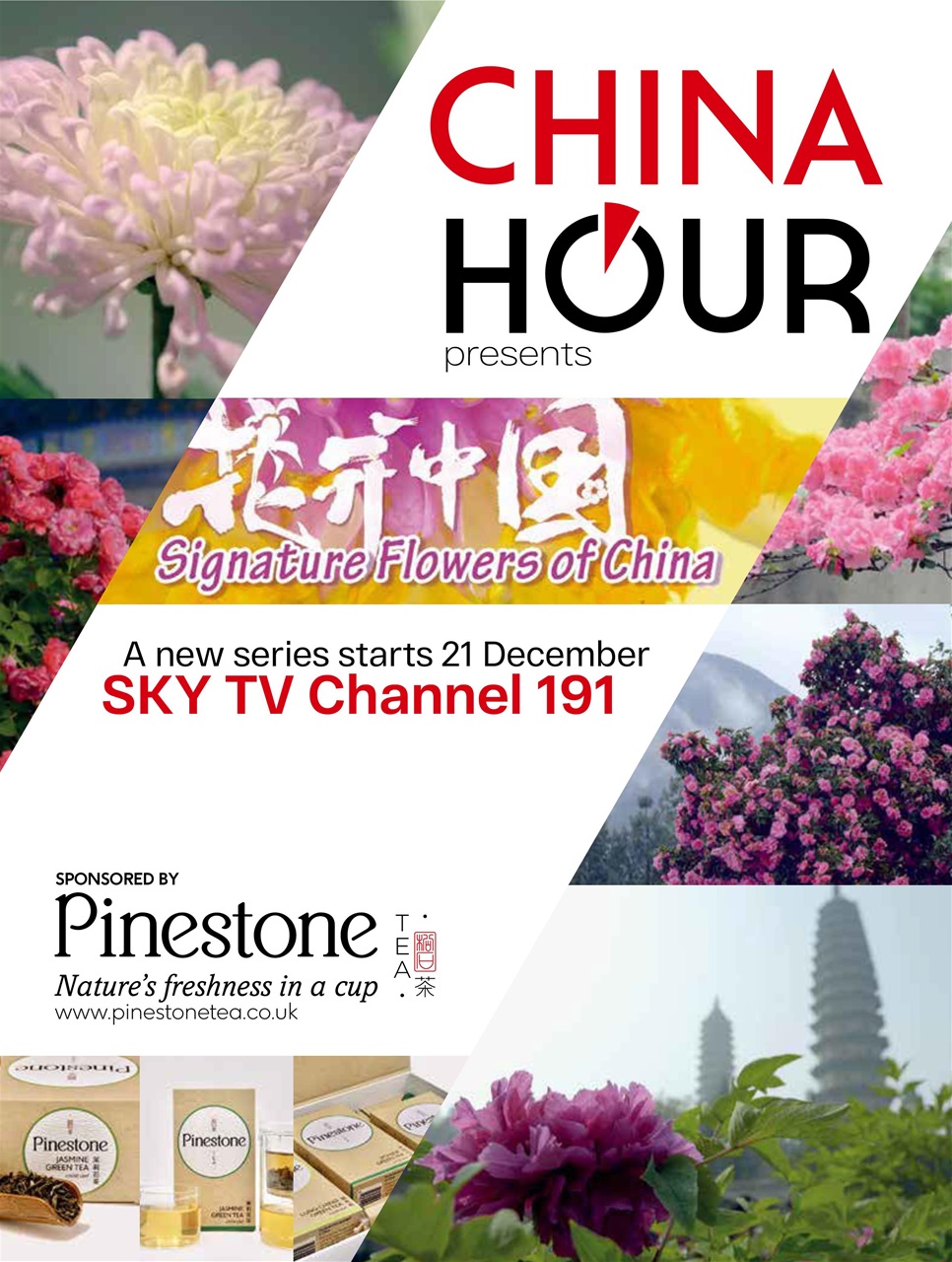 China Report Preview Pages