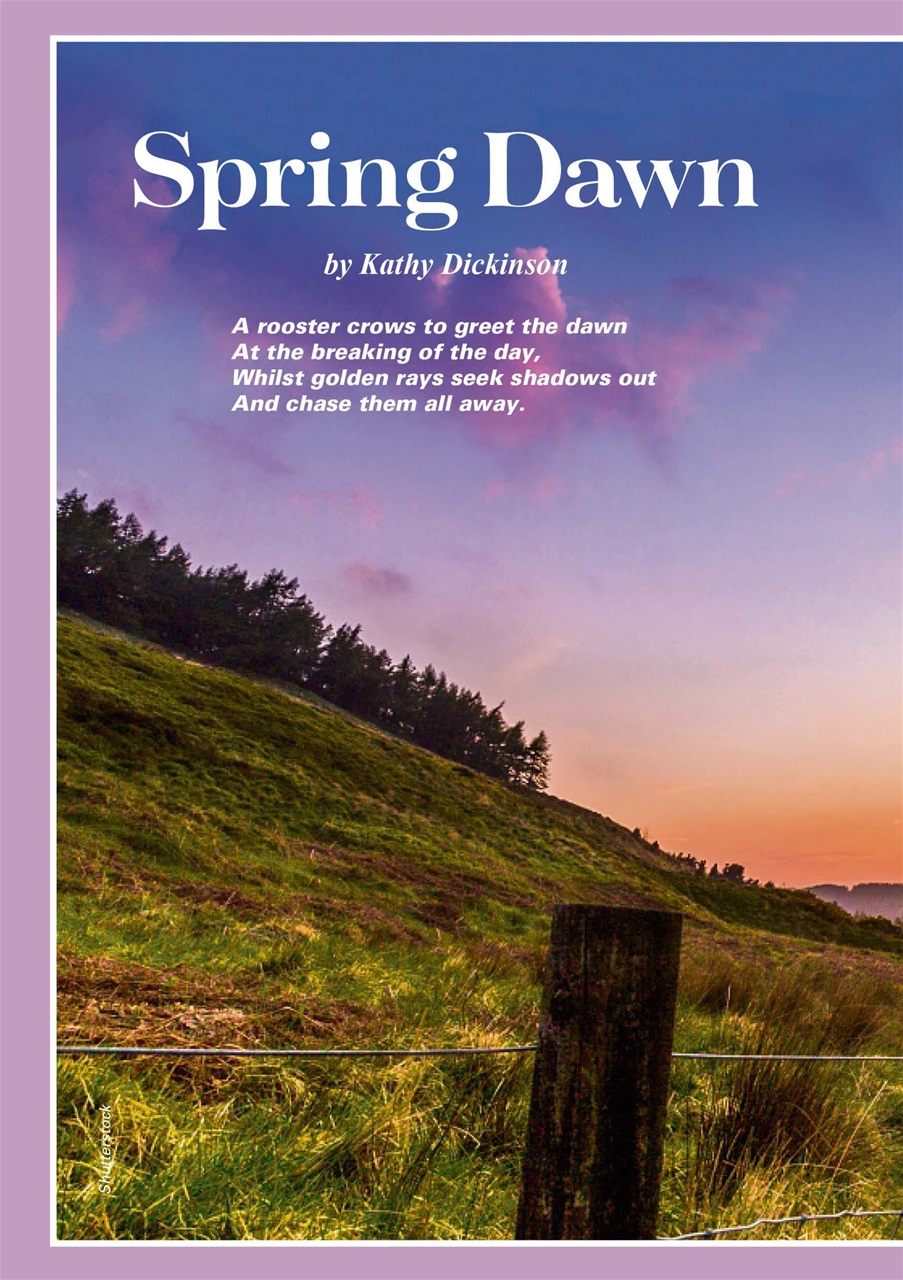 Evergreen Preview Pages