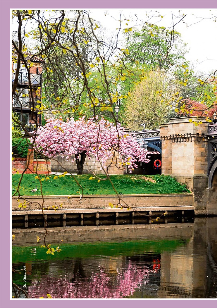 Evergreen Preview Pages