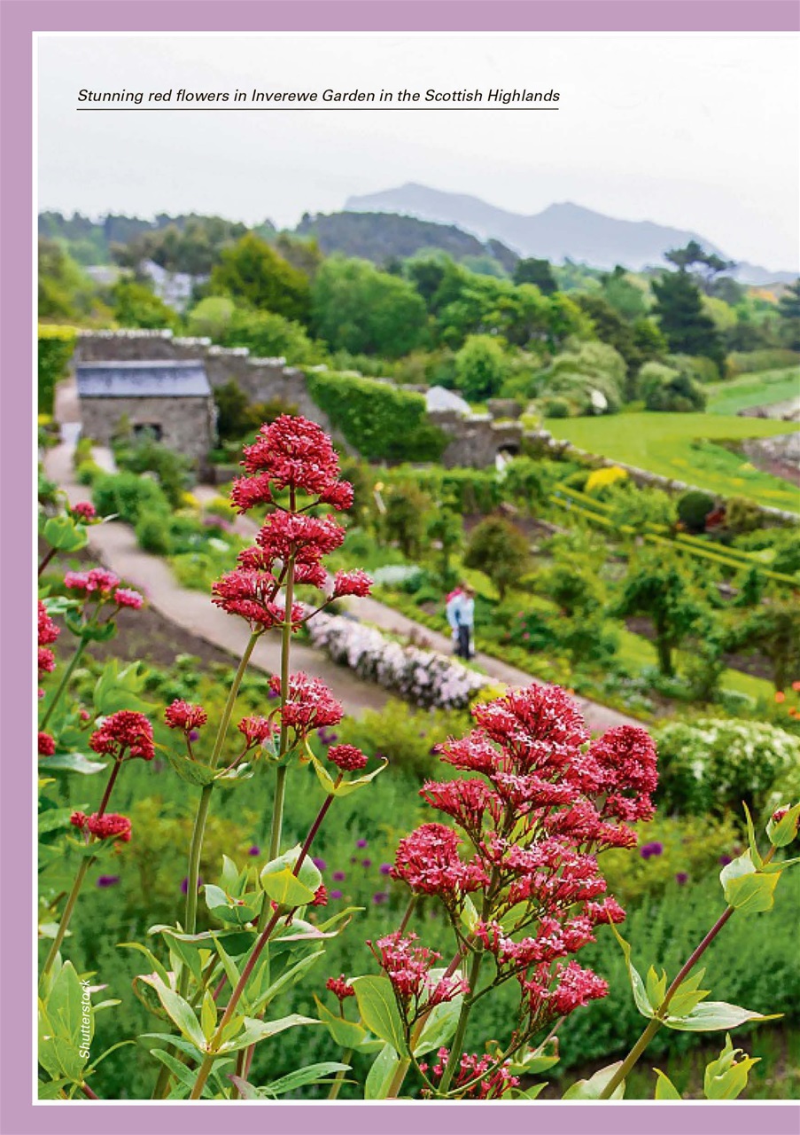 Evergreen Preview Pages