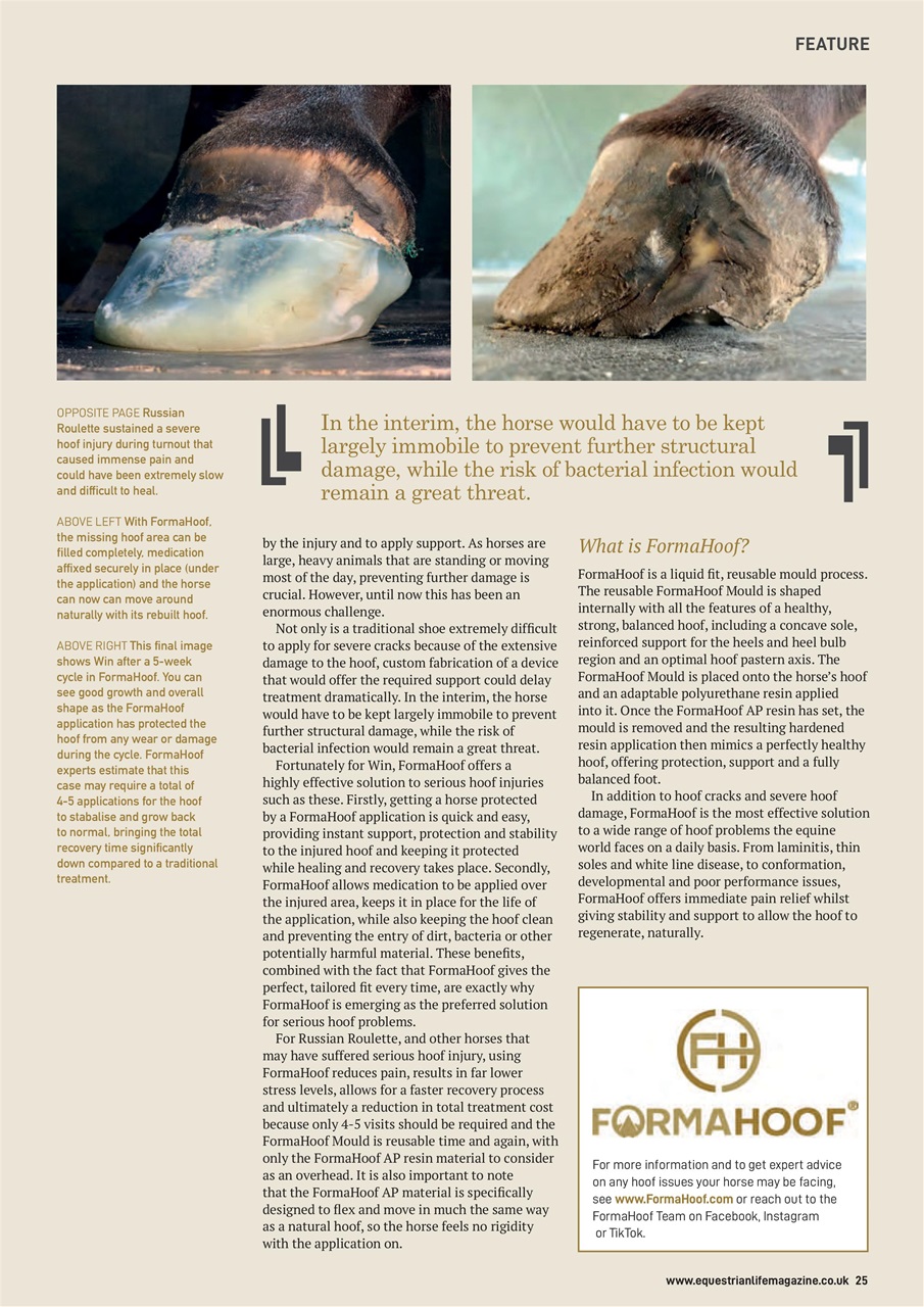 Equestrian Life Magazine Preview Pages