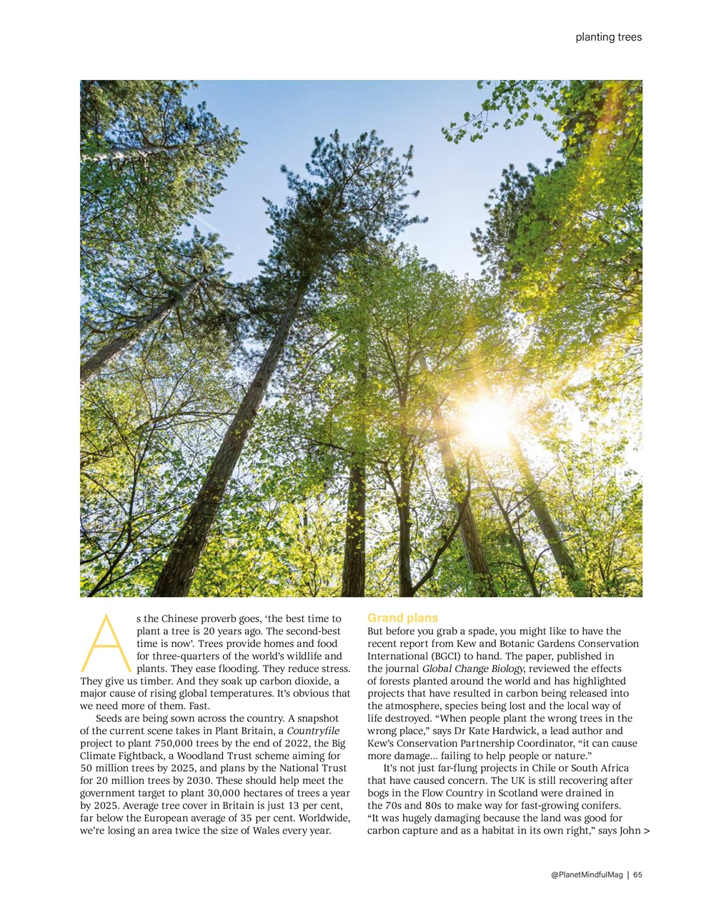 Planet Mindful Preview Pages