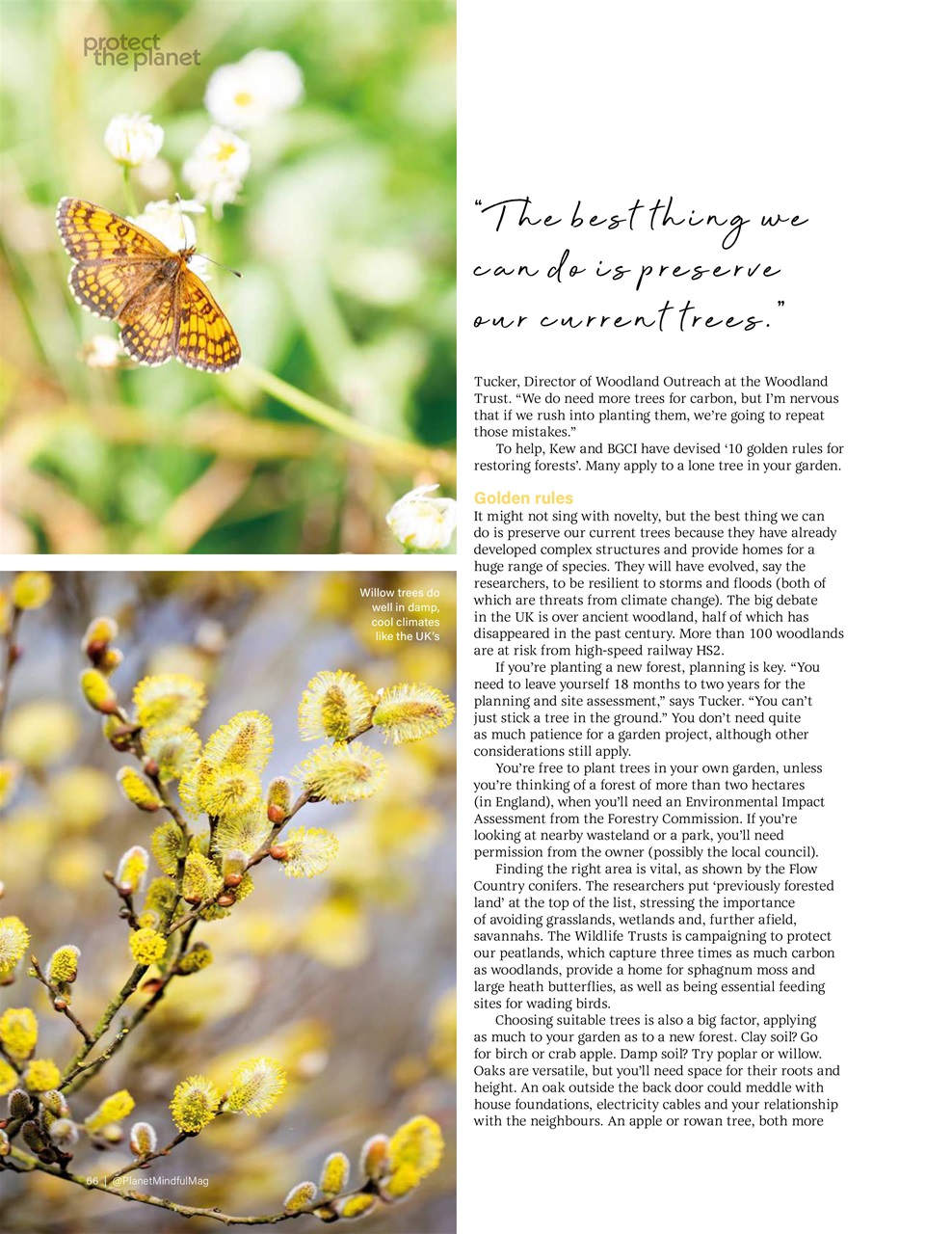 Planet Mindful Preview Pages