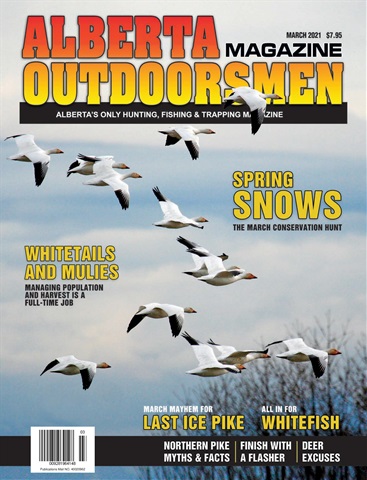 Alberta Outdoors issue Volume 22 Issue 11