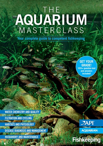Practical Fishkeeping issue 