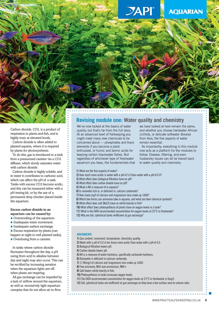 Practical Fishkeeping Preview Pages