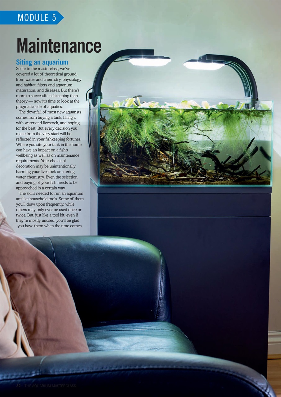 Practical Fishkeeping Preview Pages