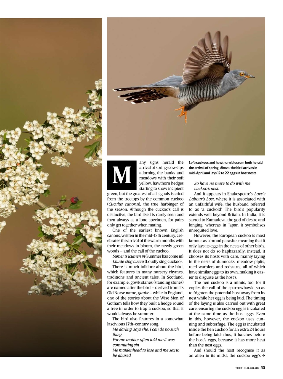 The Field Preview Pages