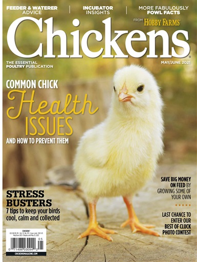 Chickens Magazine issue 