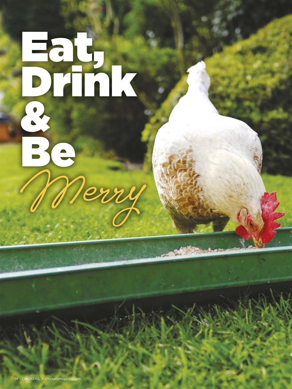 Chickens Magazine Preview Pages