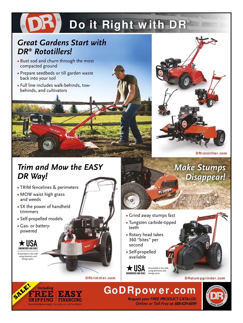 Chickens Magazine Preview Pages