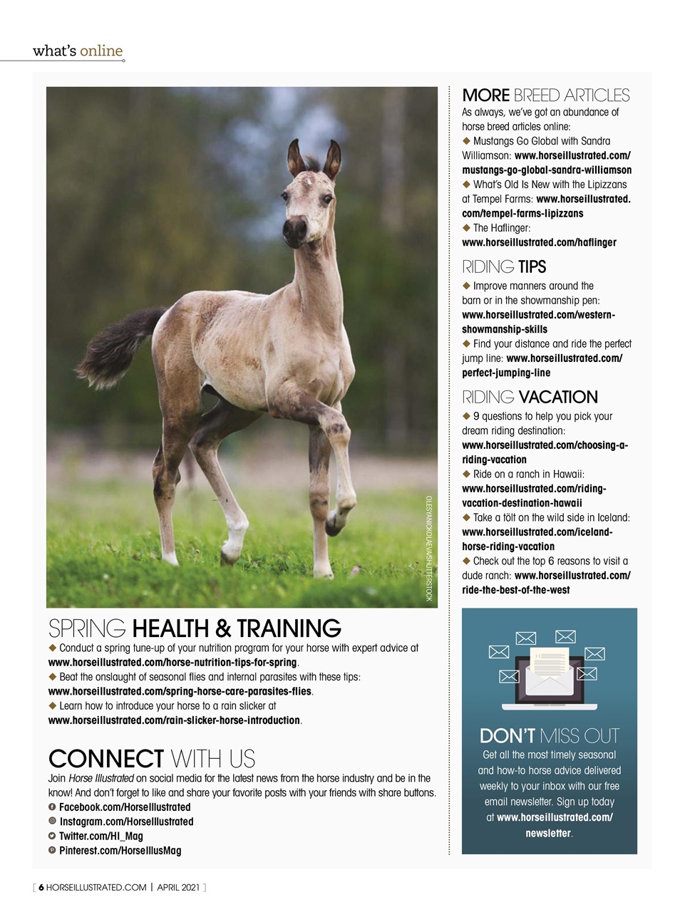 Horse Illustrated Magazine Preview Pages