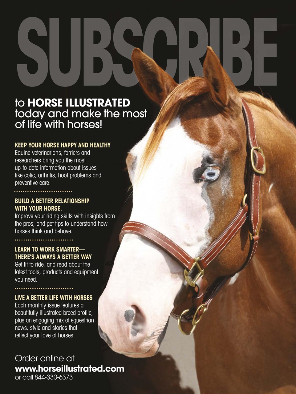 Horse Illustrated Magazine Preview Pages