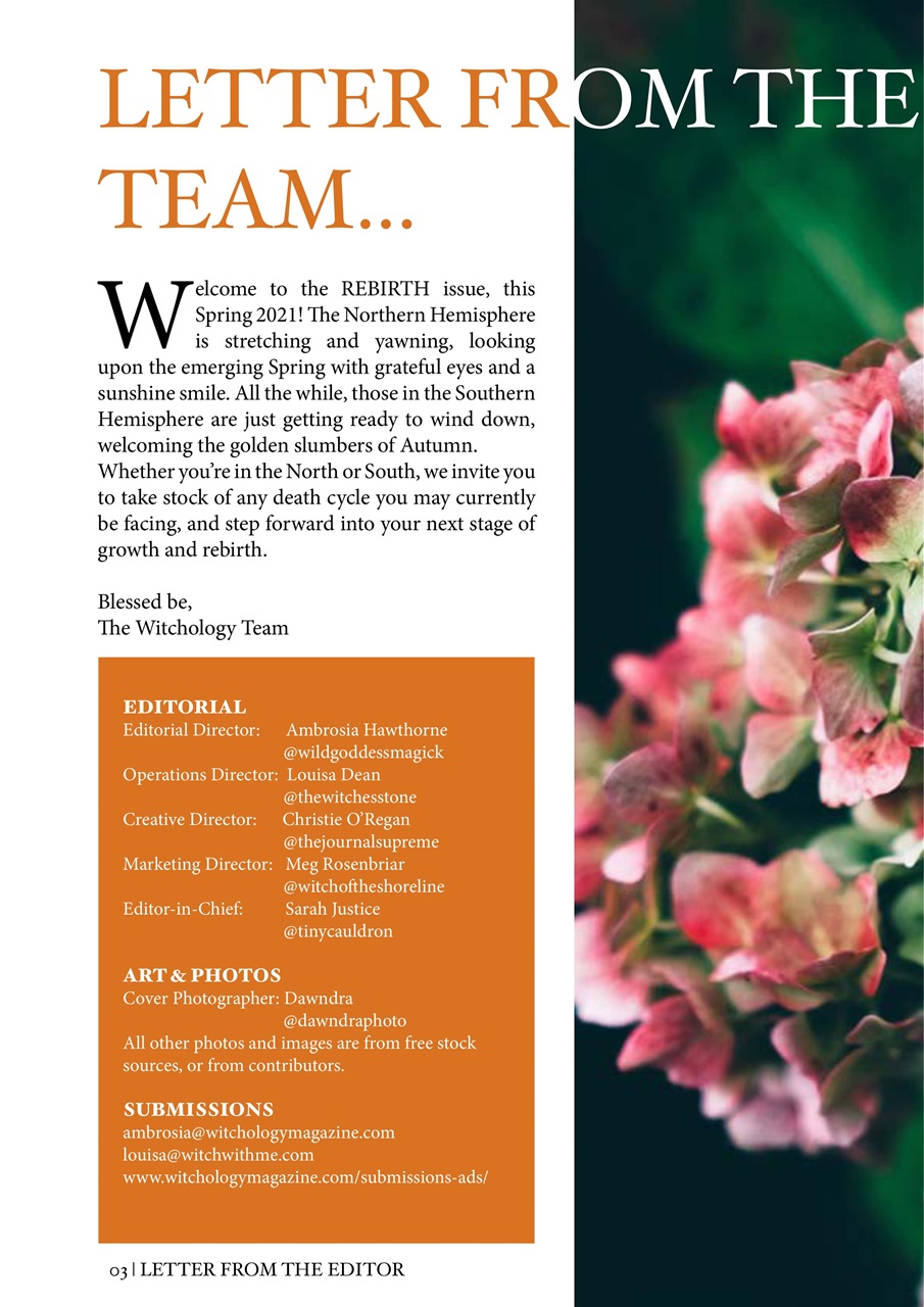 Witchology Magazine Preview Pages