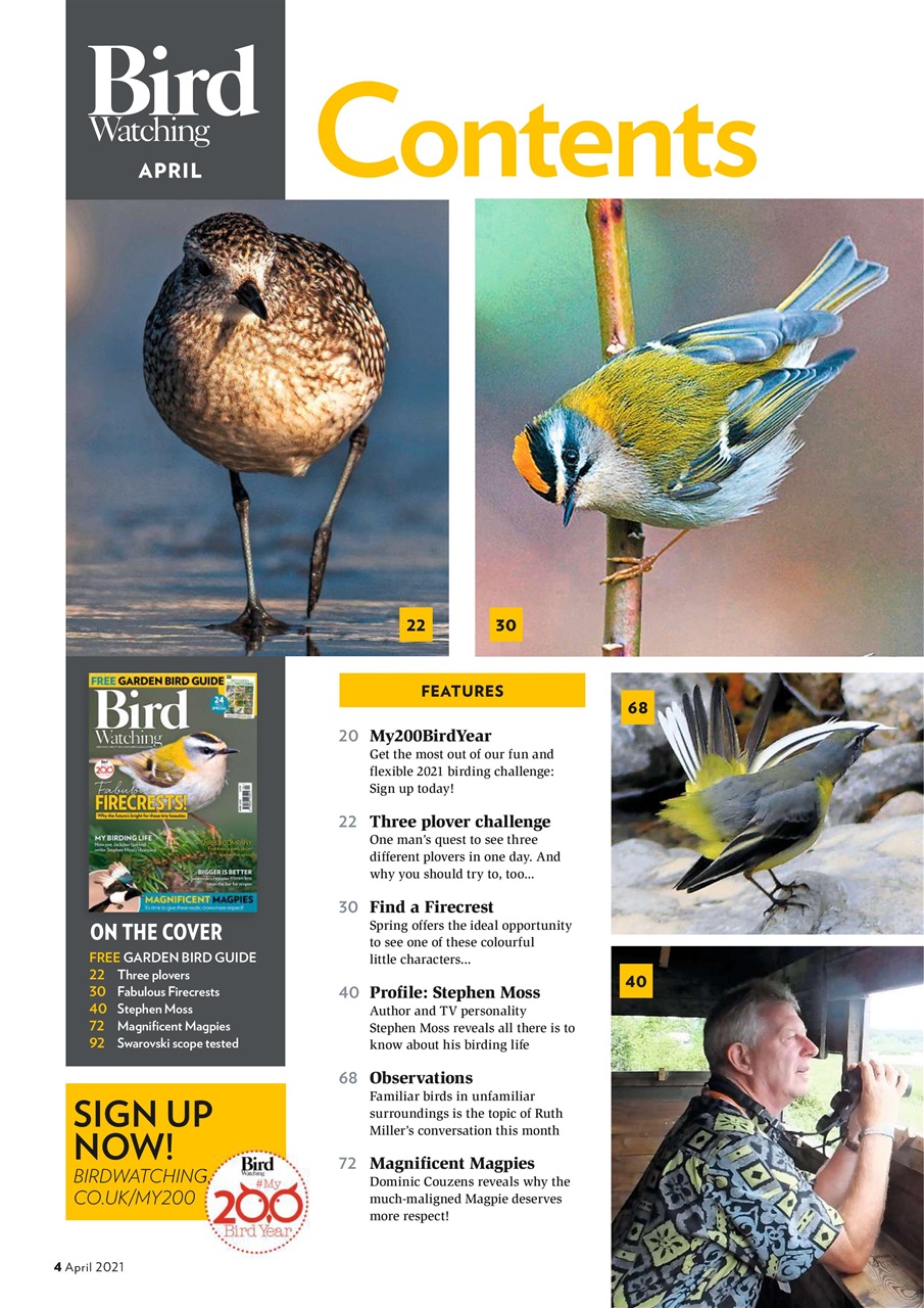 Bird Watching Preview Pages