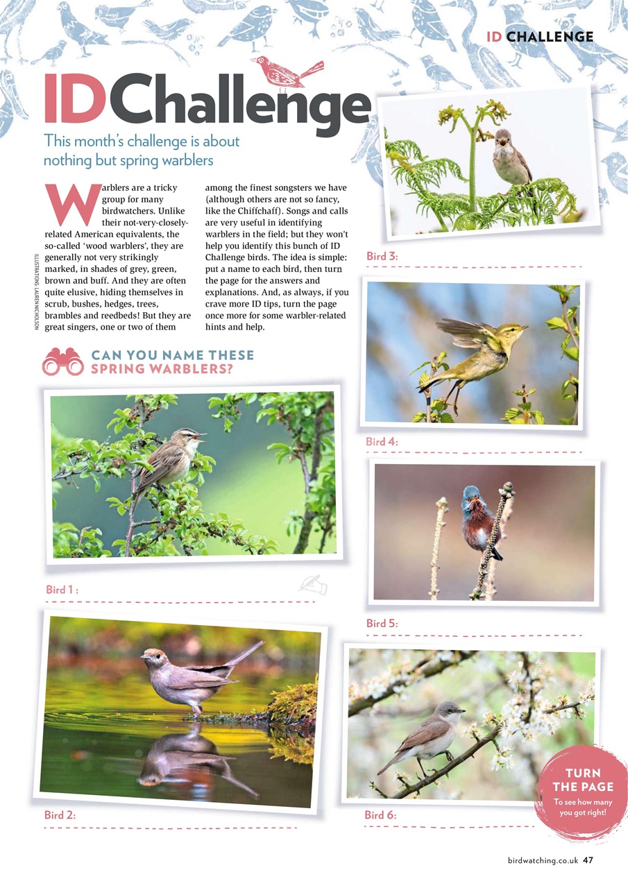 Bird Watching Preview Pages