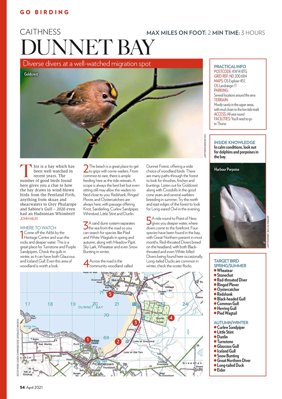 Bird Watching Preview Pages