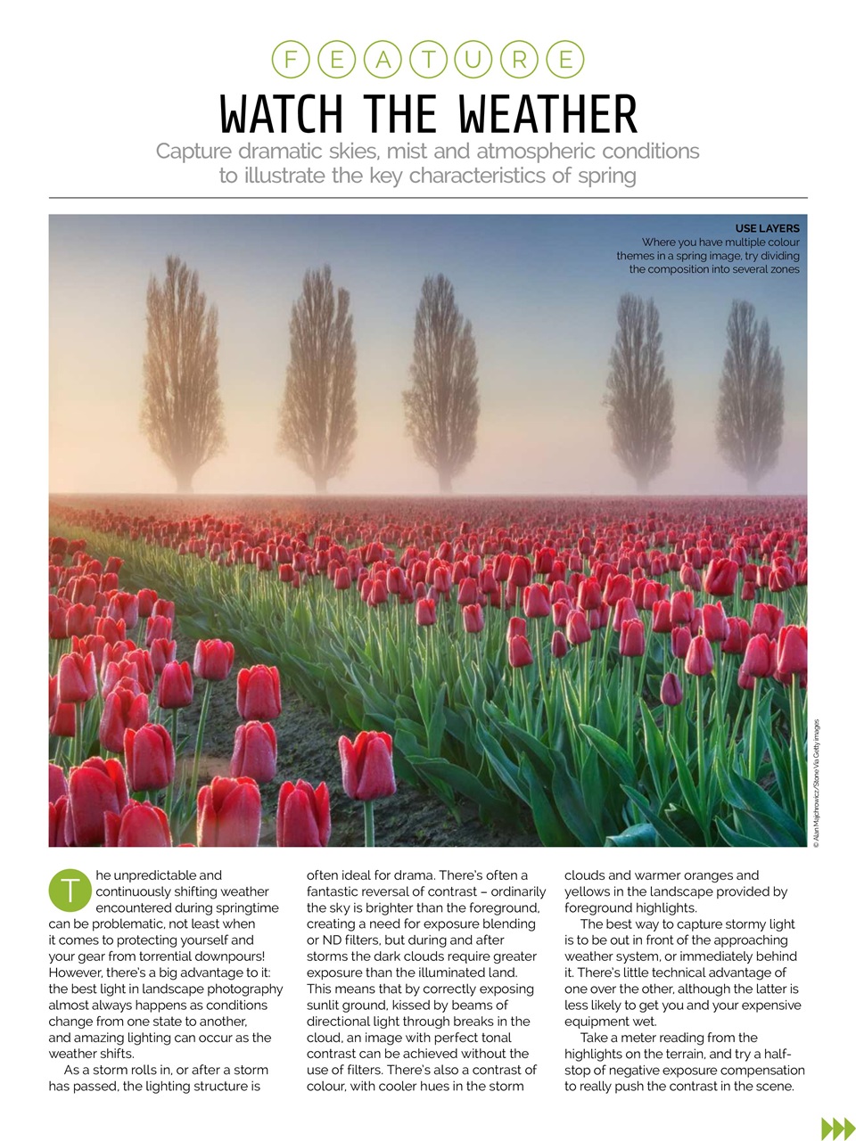 Photography Week Preview Pages