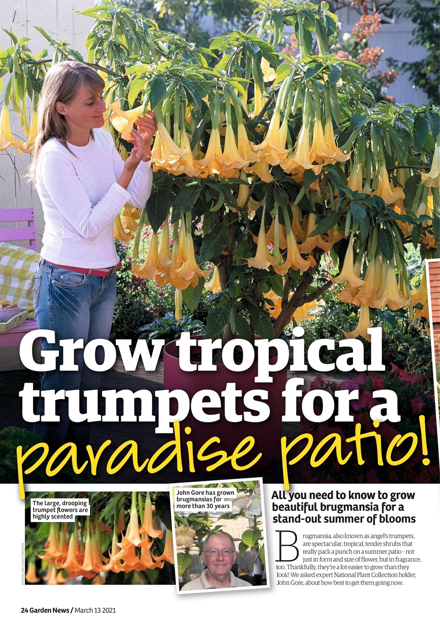 Garden News Preview Pages
