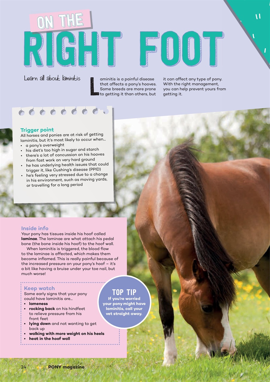 Pony Magazine Preview Pages